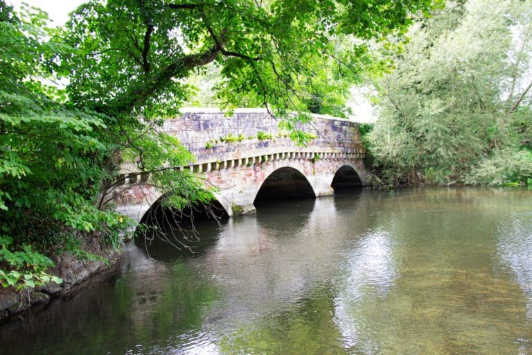 Ringwood 4