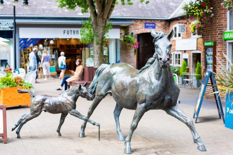 Ringwood-6